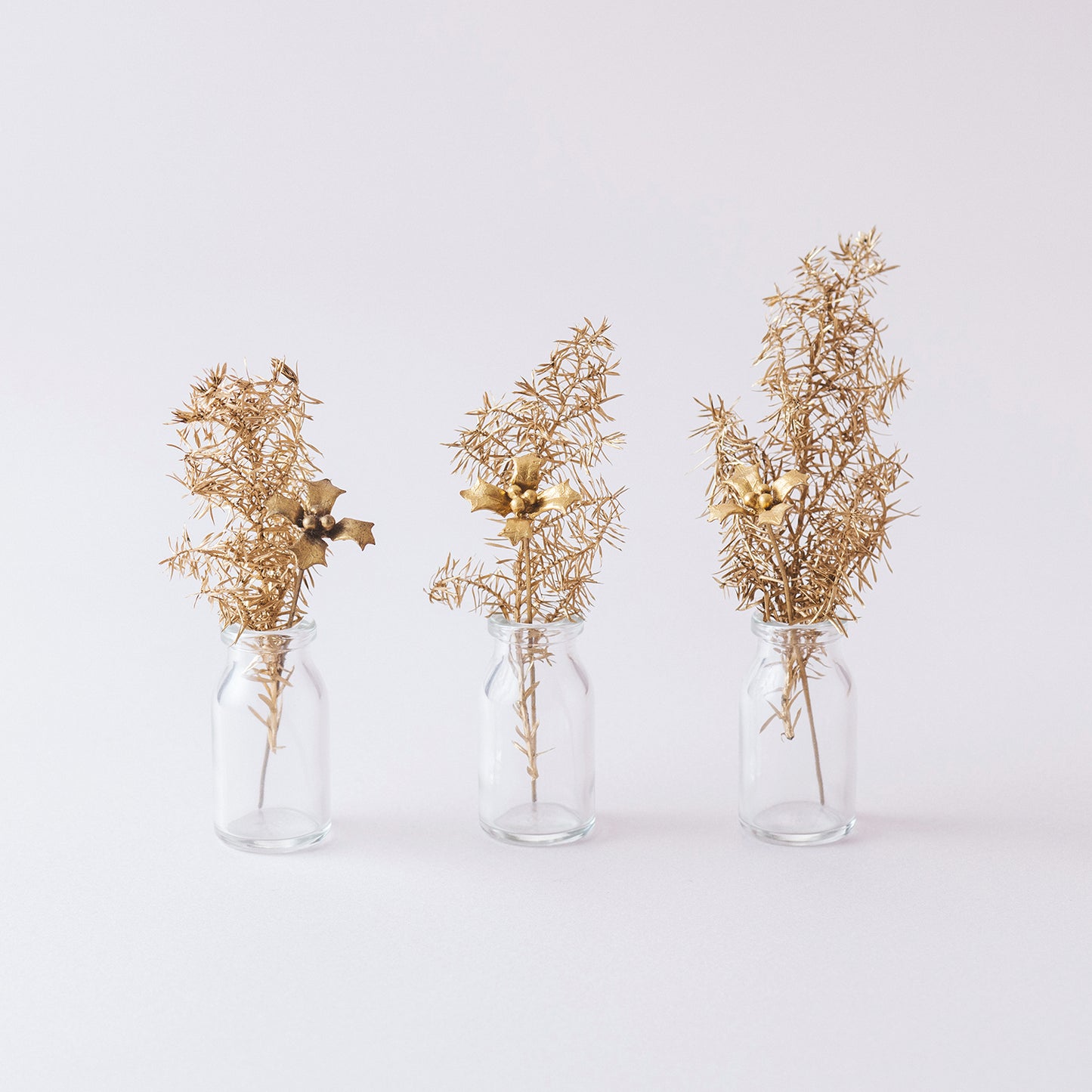 【オンラインショップ限定】ARAP009+ : メタルプランツ（ホリー+）