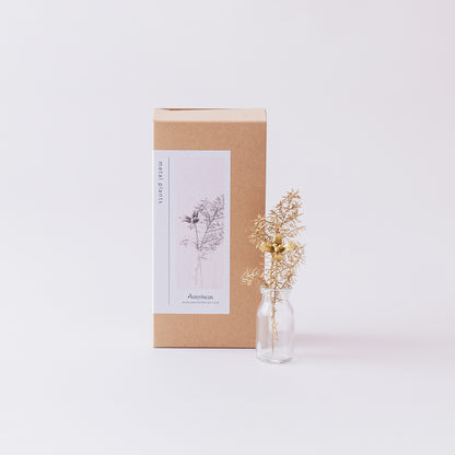 【オンラインショップ限定】ARAP009+ : メタルプランツ（ホリー+）