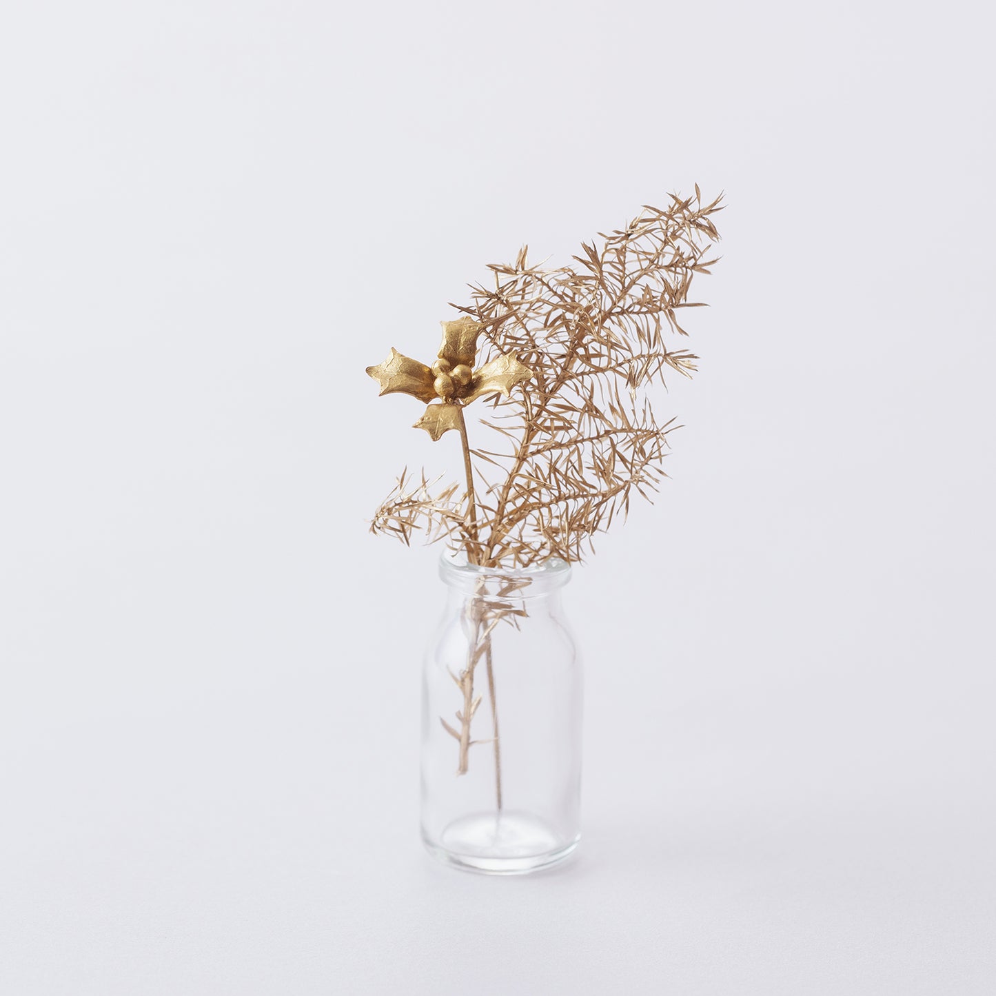 【オンラインショップ限定】ARAP009+ : メタルプランツ（ホリー+）