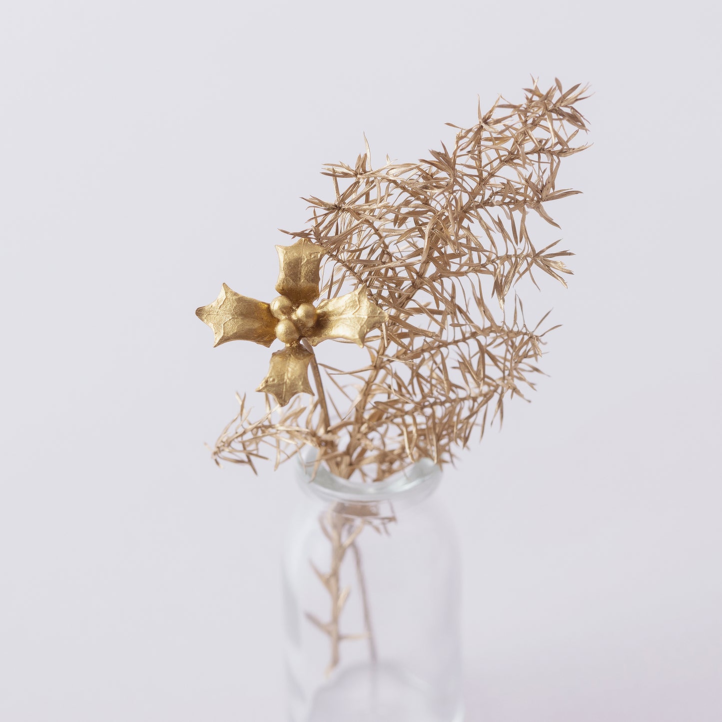 【オンラインショップ限定】ARAP009+ : メタルプランツ（ホリー+）